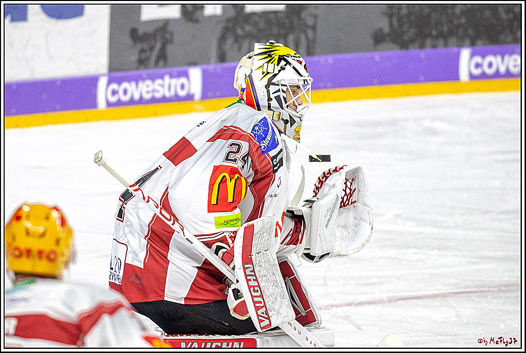 DEL; Koelner Haie - Fischtowns Pinguins Bremerhaven, 24.01.2019